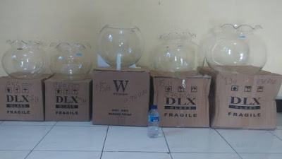 Harga Aquarium Mini Bulat Lengkap
