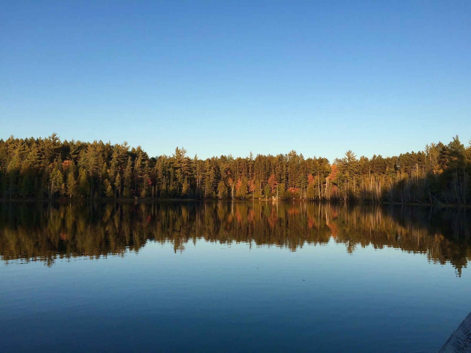 Travel Reviews & Information Grayling, Michigan / Hartwick Pines State