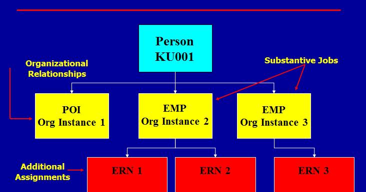 PeopleSoft: PeopleSoft - What is the Person Model?