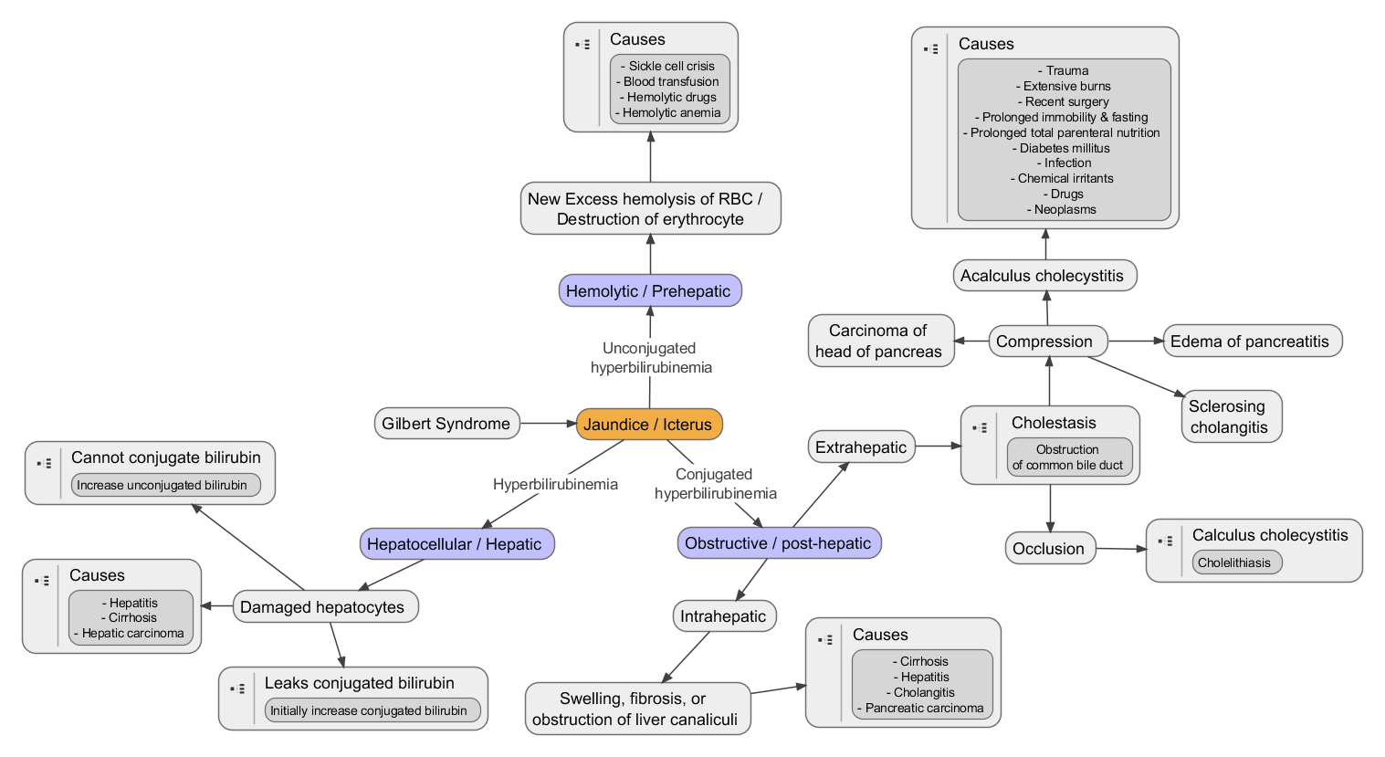 ask-dis-causes-of-jaundice