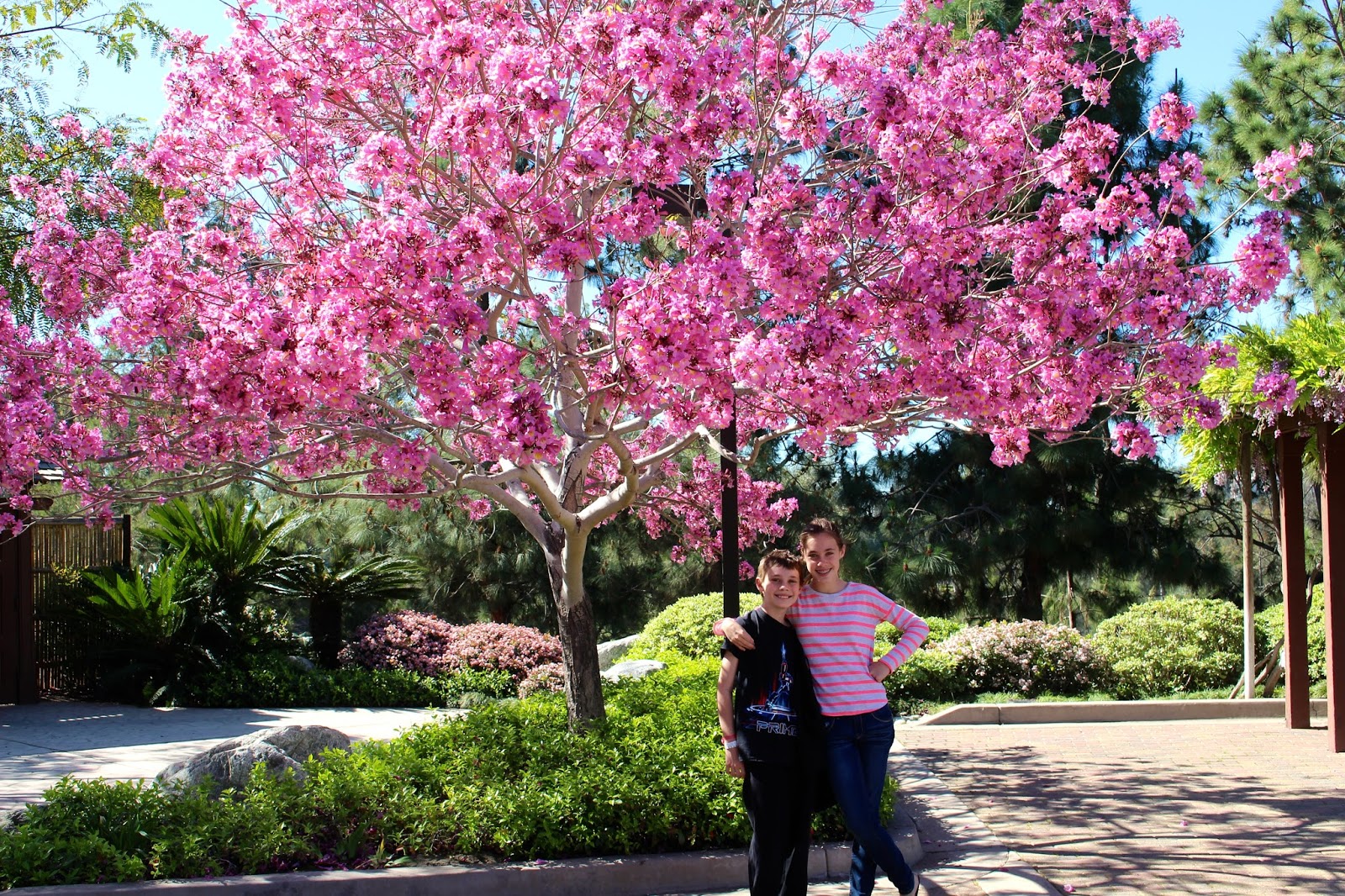 Be Brave Keep Going Our Visit To The Japanese Friendship Garden