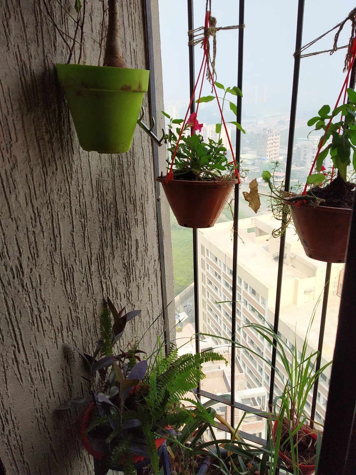 Garden Care Simplified Window Gardening Window Sill Gardening 9 Important tips for starting