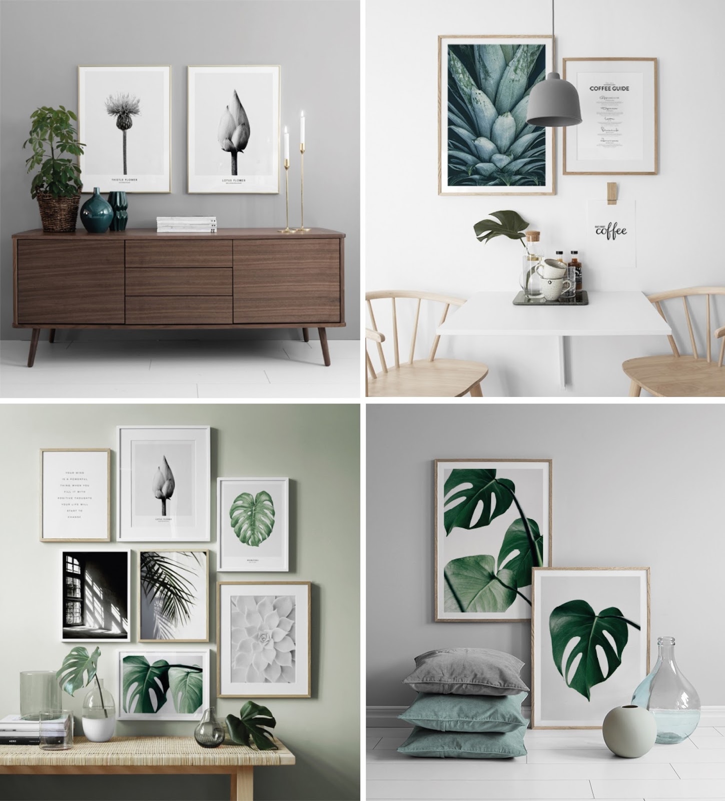 Botanical Prints Homes in Colour