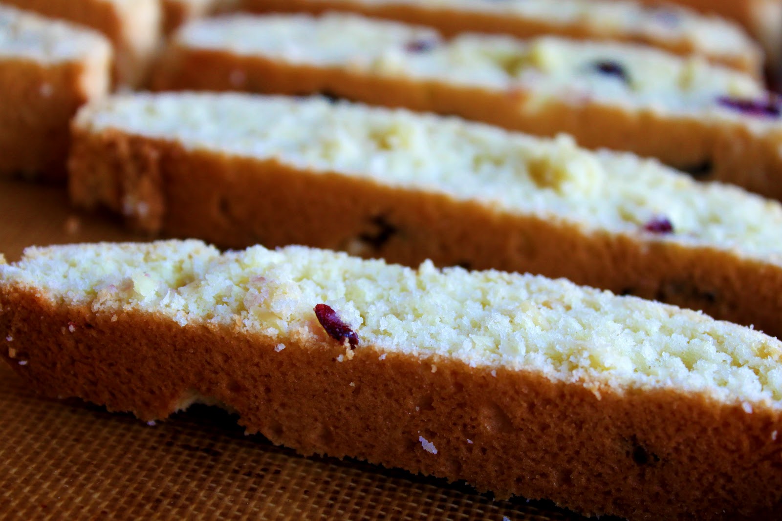 A Feast for the Eyes: Cranberry-Almond Biscotti