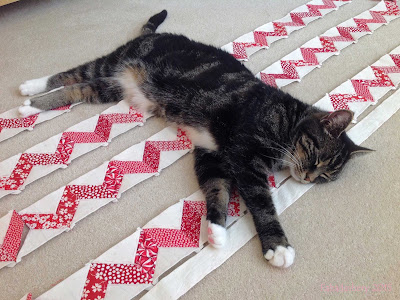Nearly Insane Quilt borders, with Suzi the cat