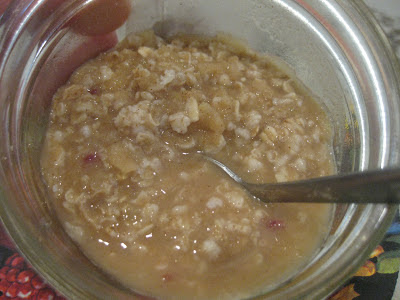 apple pie oatmeal breakfast