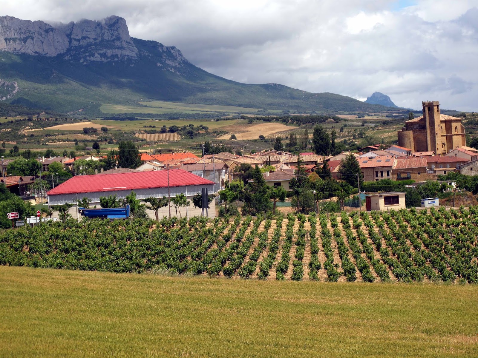 SuperValu Feature Spanish Wines. Offers until March 6th