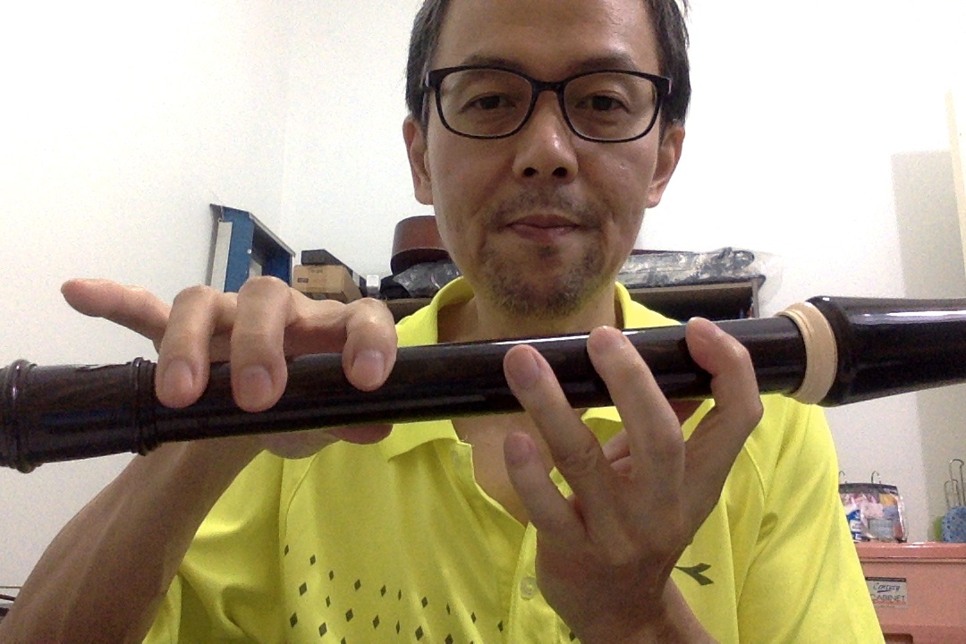 Comparing Recorders 4. Comparing recorder vs flute Home keys