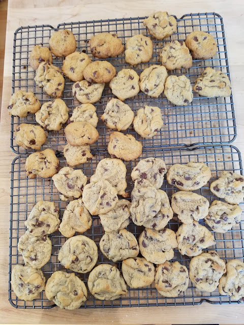 buy nothing group chocolate chip cookies cooling