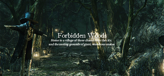 Forbidden Woods