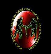 WSEF & Defensive Combat Initiatives Blog: Interview with GM D by