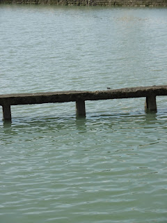 Port de la Rochelle, malooka