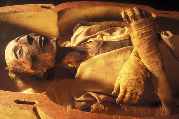 mummy-discoveries-ramessesii