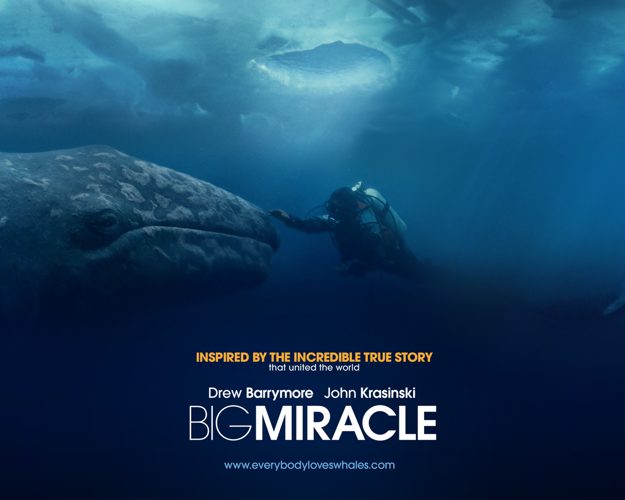 Coming Soon Big Miracle (2012)