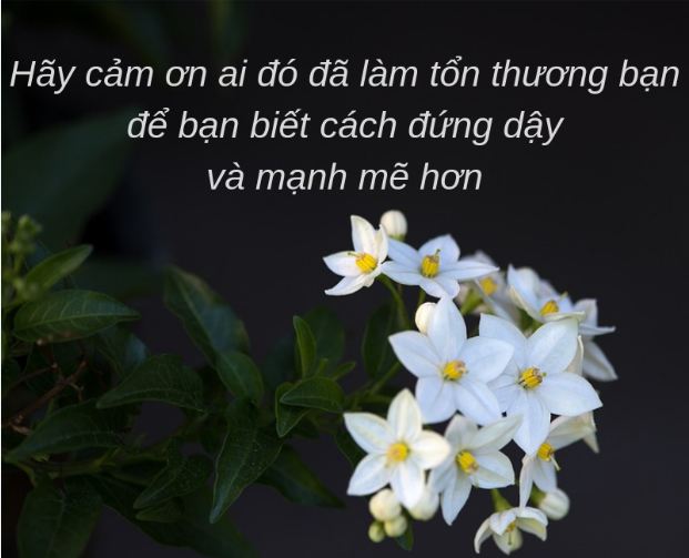 Hình ảnh có liên quan