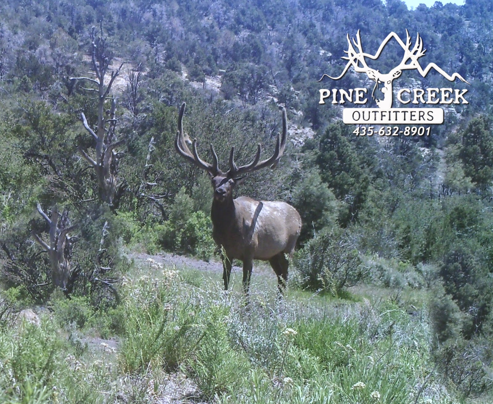 Pine Creek Outfitters June 2014