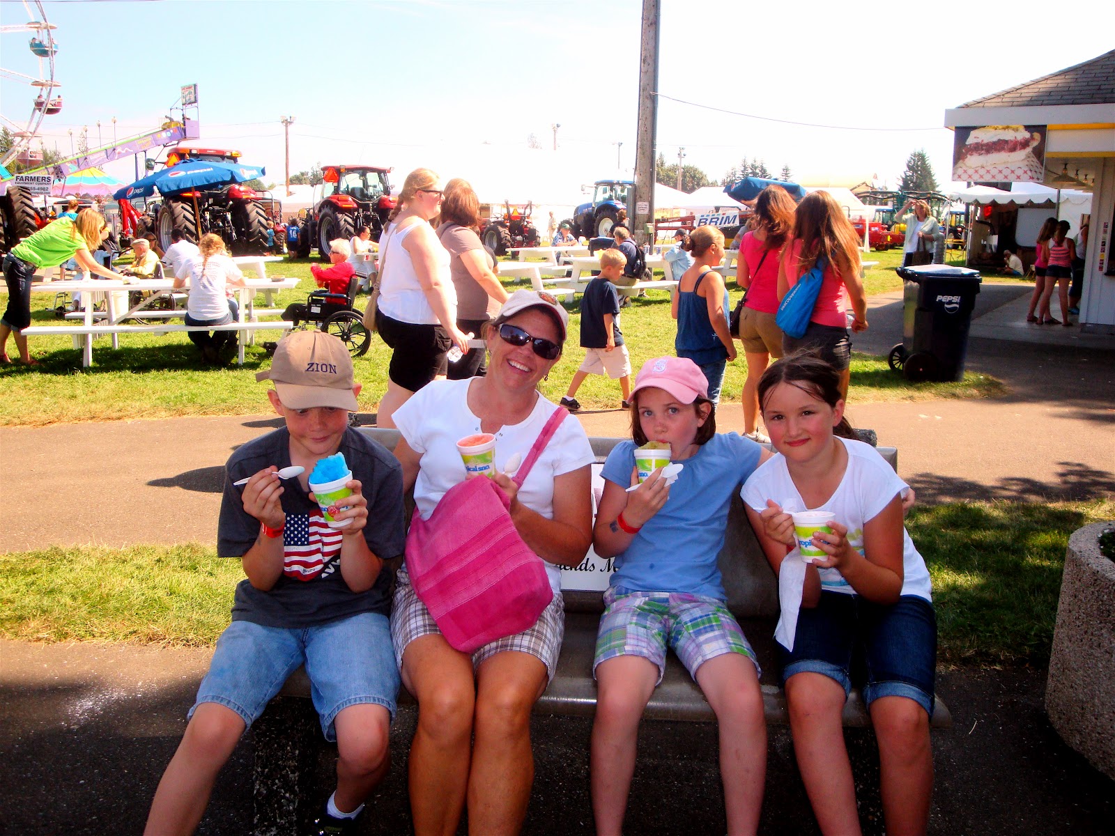 Herding The Lynden Fair