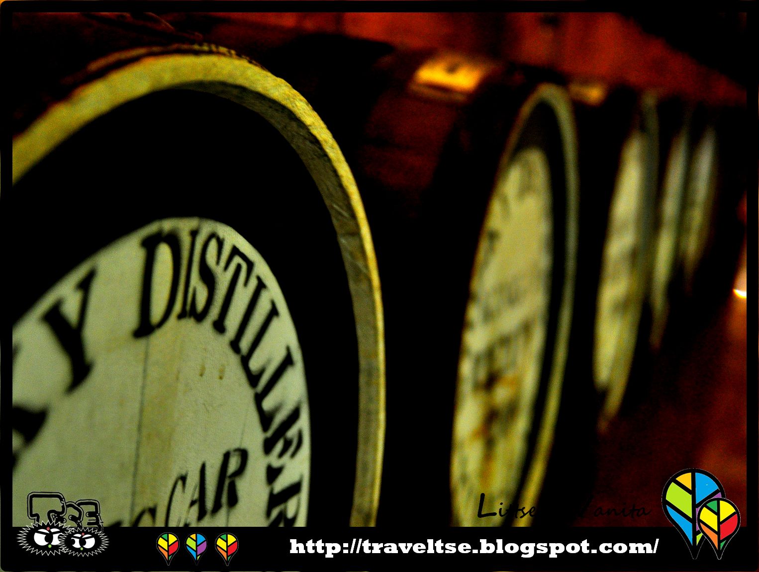 リビングルーム用の植物 - 胡蝶蘭