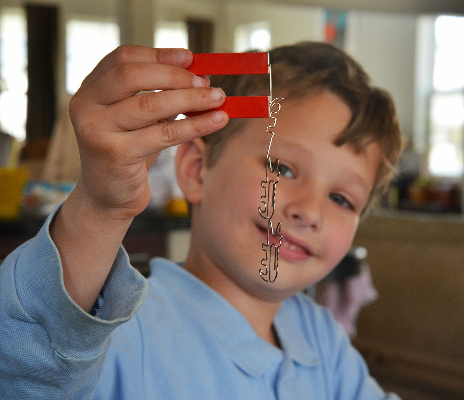 A school of fish Play 2D Fields, Art