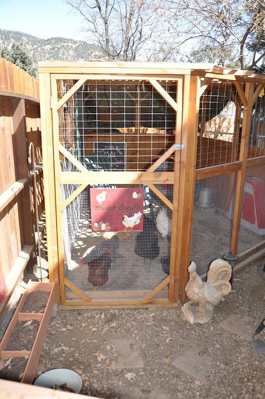 Chicks in The Suburbs The Coop