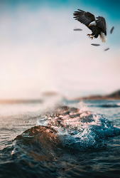 editing background poster backgrounds jb editz cb picsart