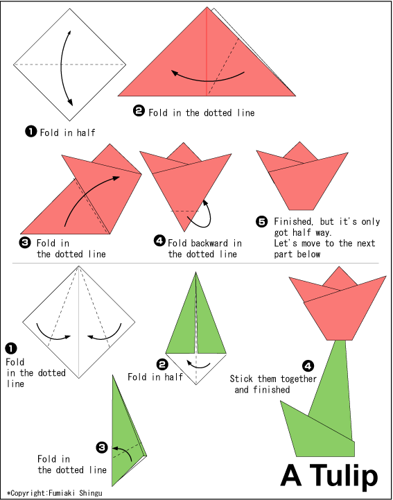 Tulip Easy Origami instructions For Kids
