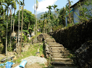 The " STAIRCASE TREK " to  " Living roots bridge ".