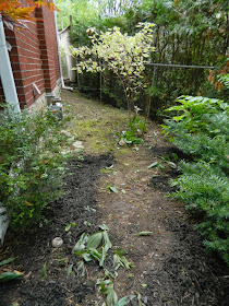 Mount Pleasant West Toronto garden clean up after Paul Jung Gardening Services