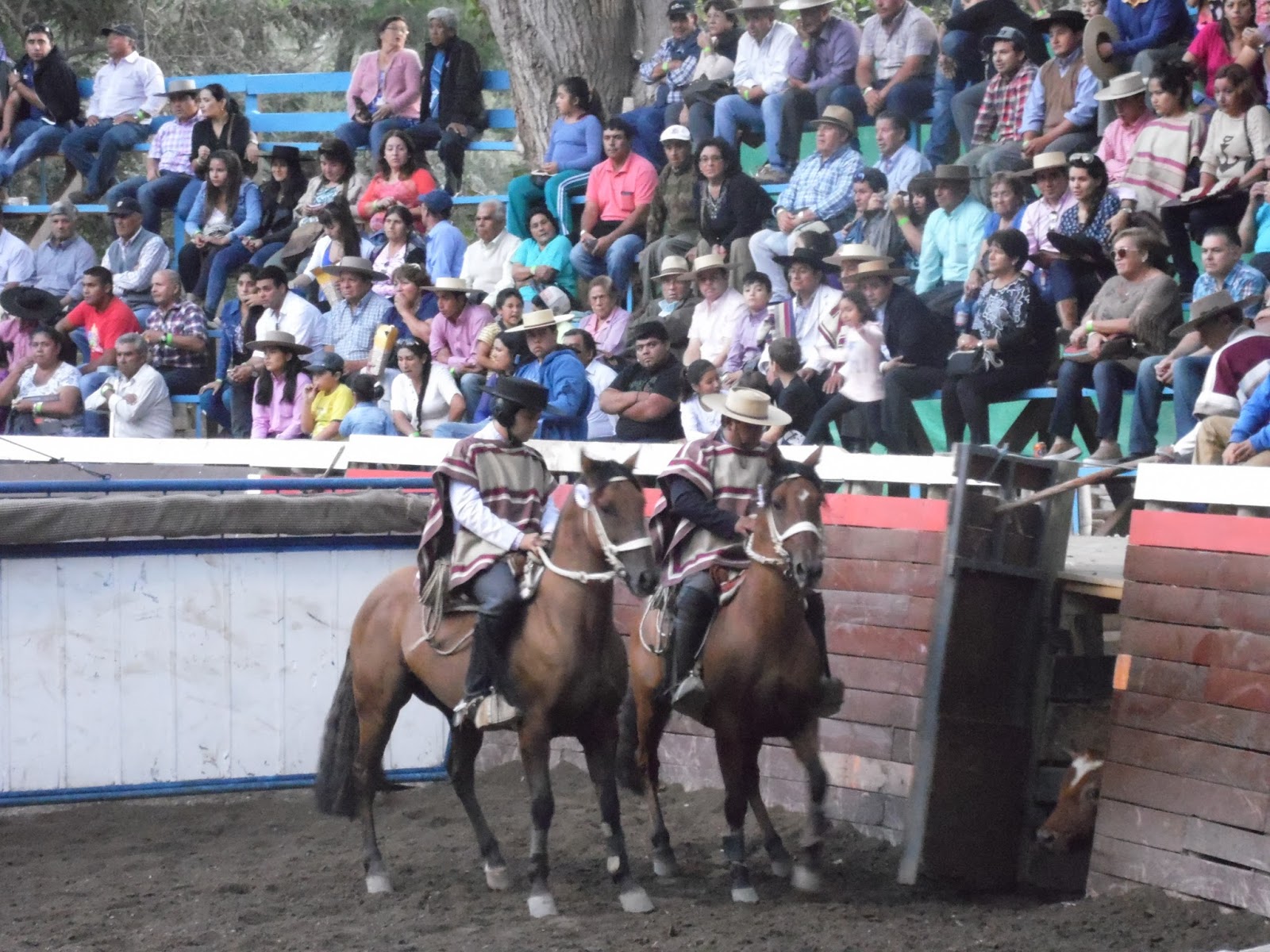 ASOCIACIÓN SANTIAGO GANA RODEO DE SEMANA SANTA EN SALAMANCA. | Sintonia ...