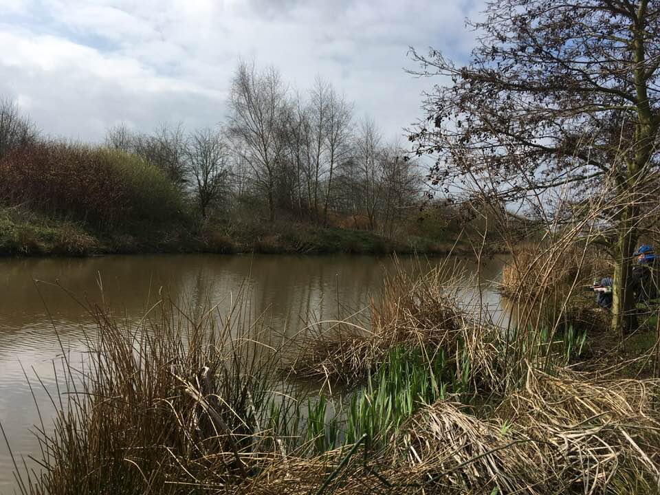 UK fishing venues Plainville Lake Venue Review