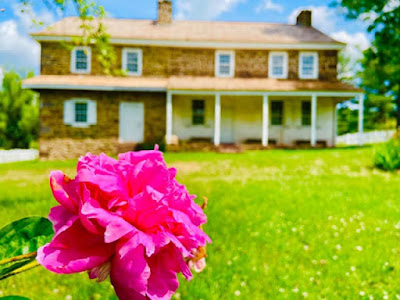 A dark pink peony is in the foreground. In the background is a two-story stone house two chimneys and a covered porch spanning two thirds of the ground floor.