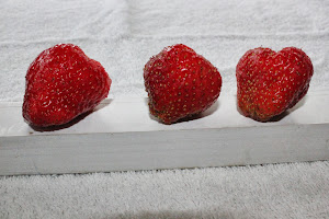 Luscious June Strawberries