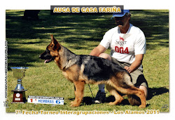 Auca De Casa Fariña