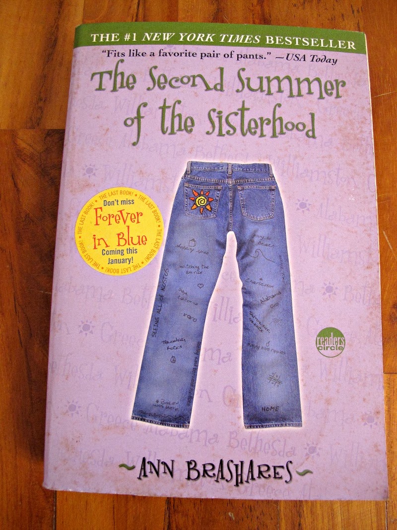 The Sisterhood of the Traveling Pants Series (Book)