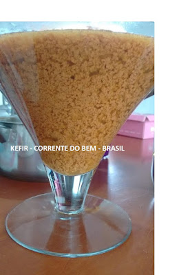 AMBROSIA DE KEFIR DE LEITE AMBROSIA DE KEFIR DE LEITE