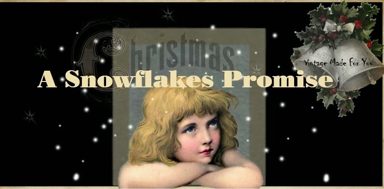 A Snowflakes Promise