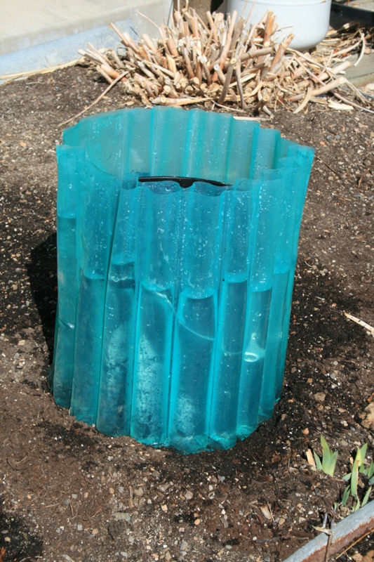 The Flower Bin Spring Gardening WallO'Water