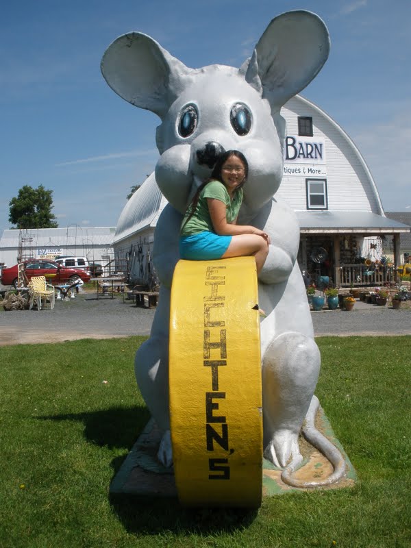 Harvest Moon by Hand Buffalo Farm, Strawberry Picking, & More => Kid