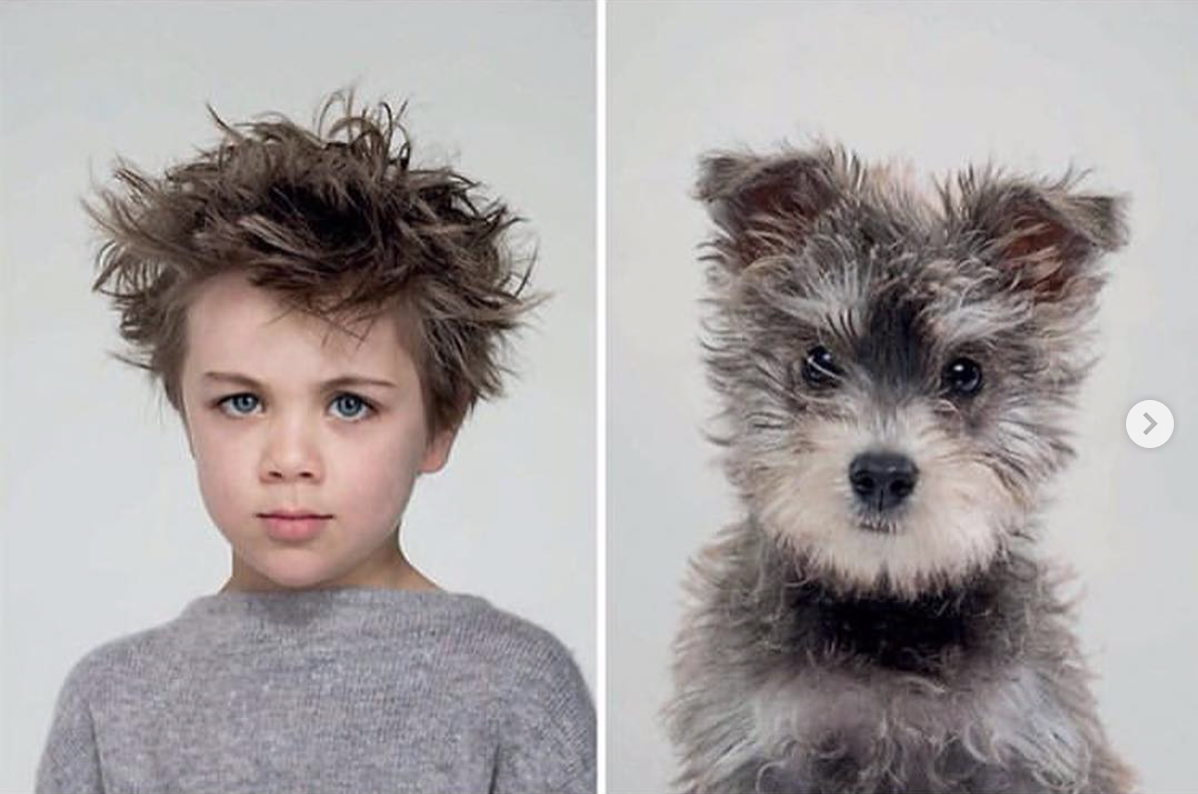 daily timewaster People who look like their dogs