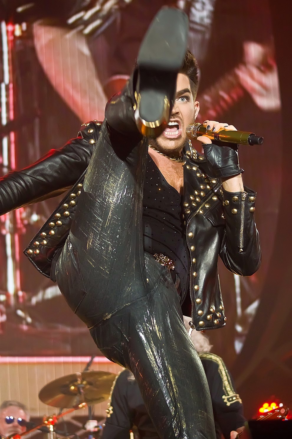 Stunning HD Photos (57) From Queen