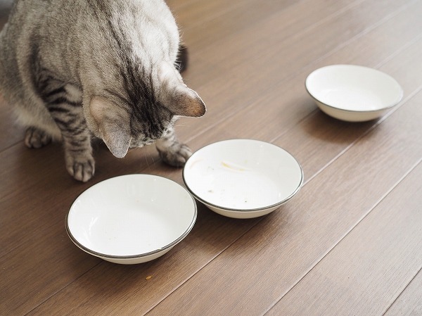 きれいになった3つのお皿