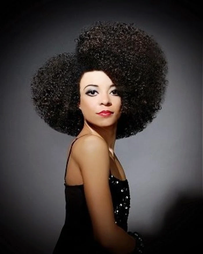 Exquisite Afro Wig Capture for Desktop