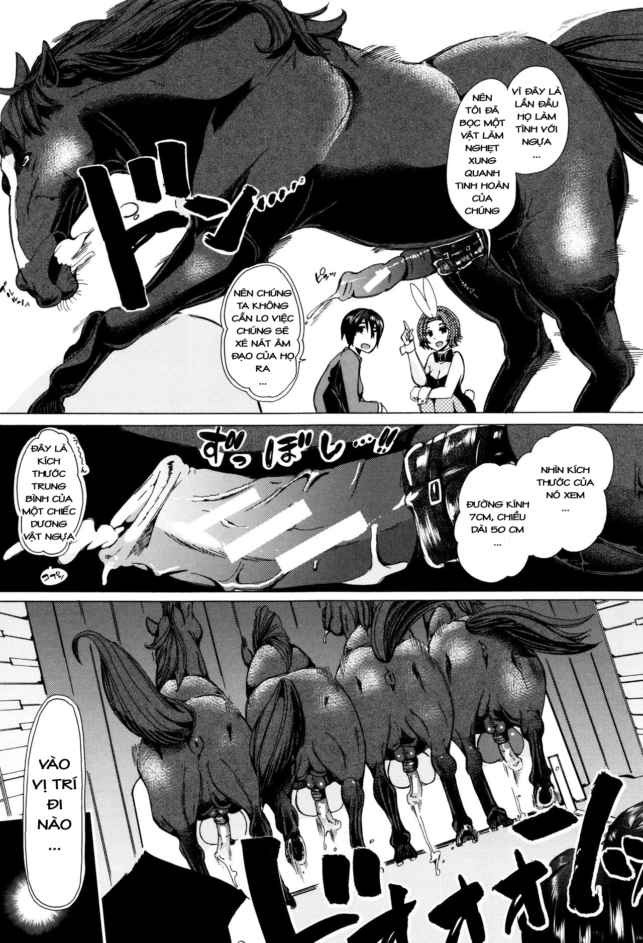 Những cô nàng làm tình với động vật - Chap 7 END - Truyện Hentai