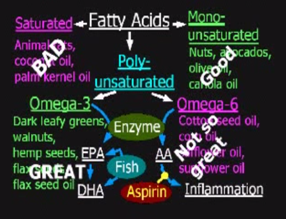 Self Health Guide Type of fatty acids
