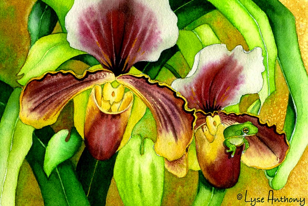 pinturas-bodegones con flores-orquideas