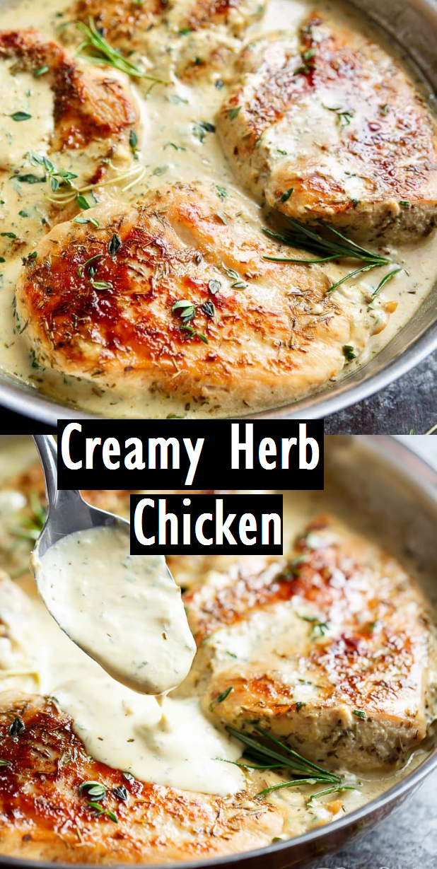 Creamy Herb Chicken - Easy Recipes