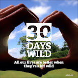 The Wildlife Trust 30 Days Wild