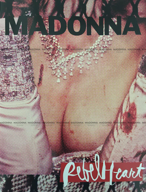 Did madonna do an album called pussy talks — pic 12