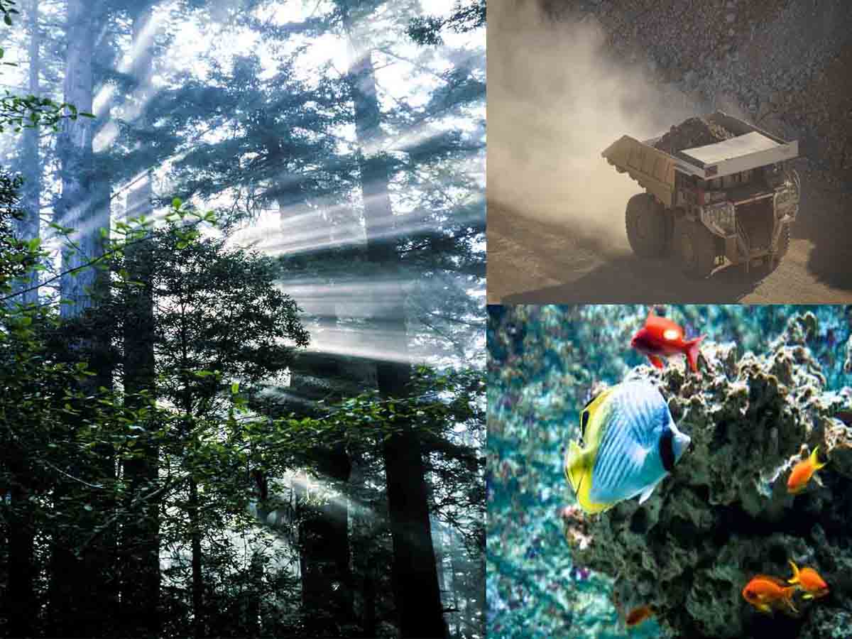 RPP IPS Keunggulan dan Keterbatasan Antarruang serta Peran