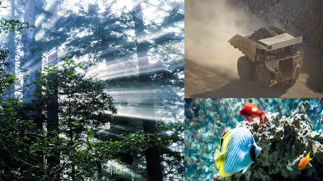 Rpp Ips Kelas 3 Semester 2 Sejarah Uang Seputar Sejarah